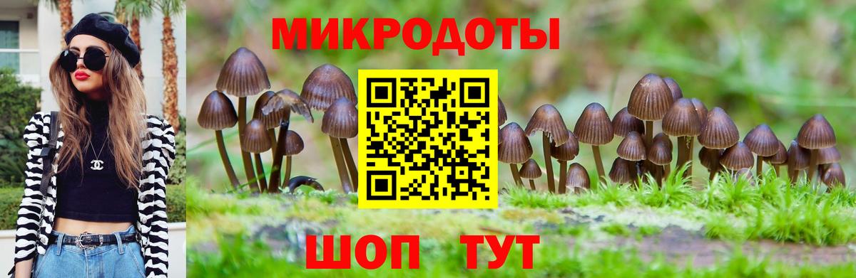 Псилоцибиновые грибы мухоморы Ржев