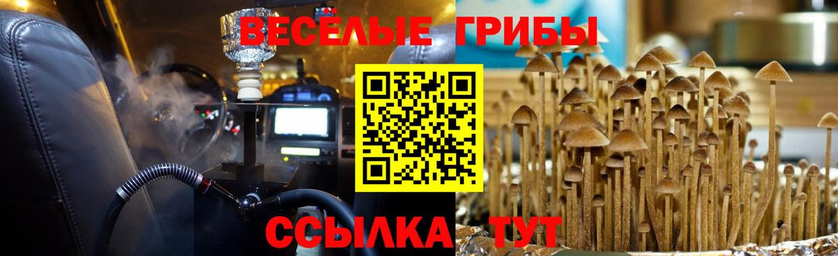 Галлюциногенные грибы GOLDEN TEACHER  купить наркотик  Ржев  Вход с VPN 